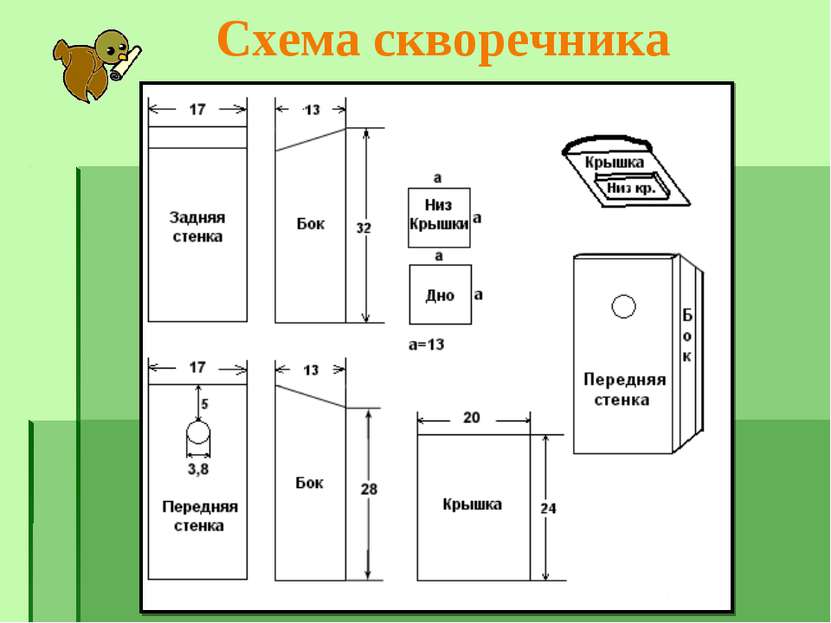 Стандартные размеры скворечника для скворцов чертеж