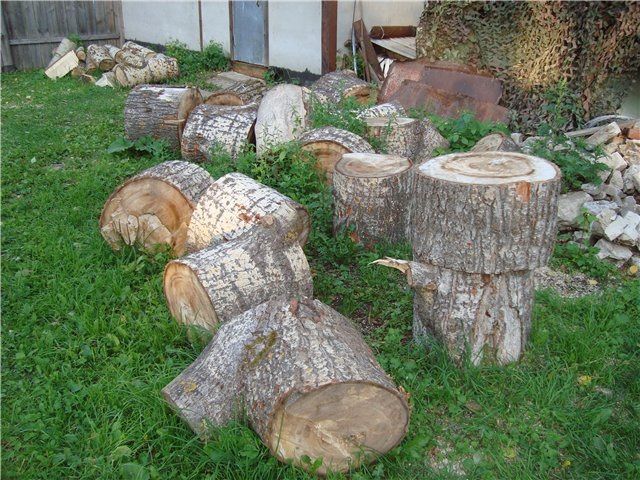 Даже дешевизна тополя или ивы не оправдает крайне низкой теплоотдачи таких дров