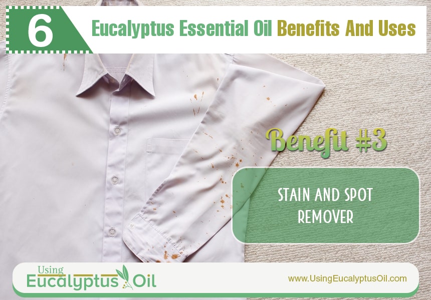  eucalyptus oil medicinal uses