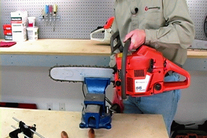 Mount the Saw in a Vise